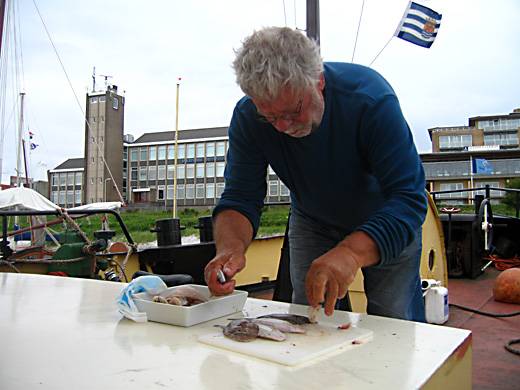 Gegeven vis in de buik kijken