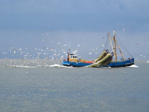 De UQ8 (komt uit Usquert)